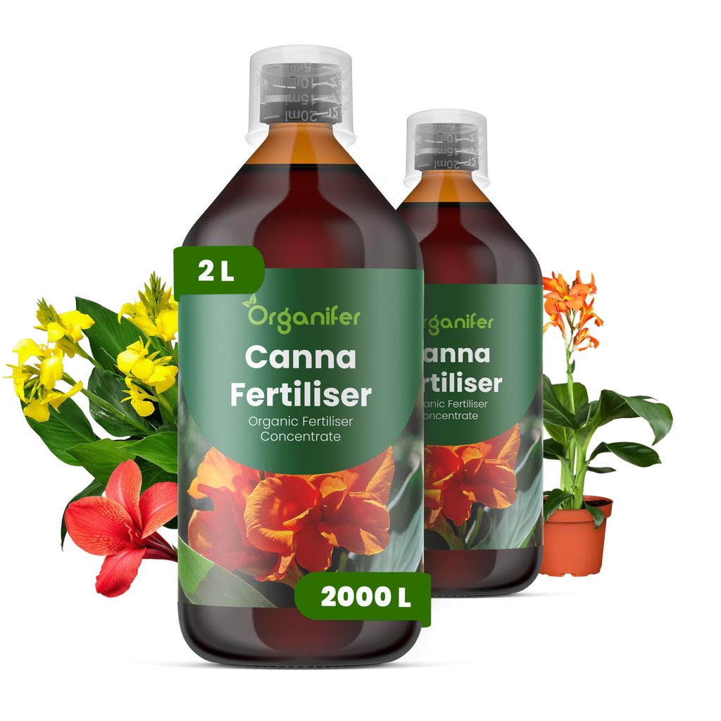 Canna Tekuté hnojivo 2x1 L – vzťah NPK 3-4-3 – pre kvitnúce Obrázok produktu 