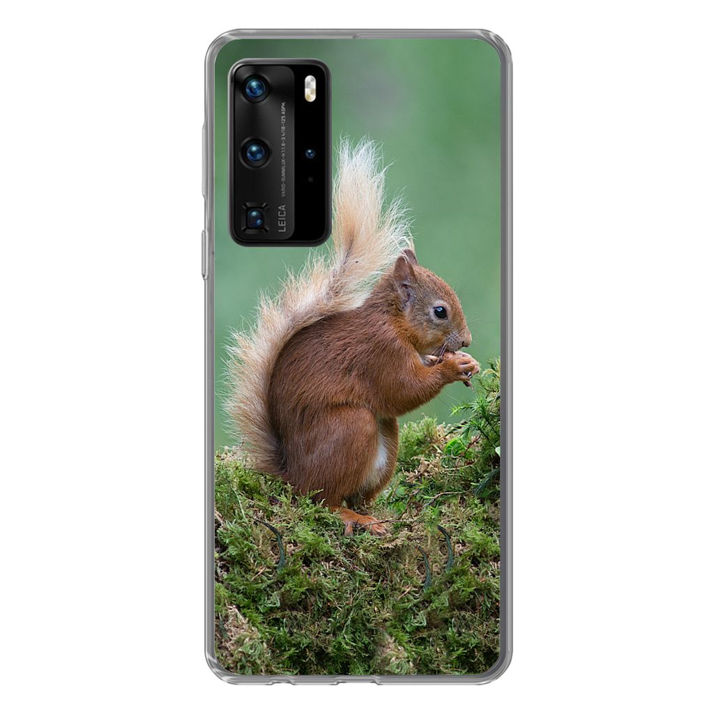 MuchoWow Handyhülle Schutzhülle Hülle für Huawei P40 Pro Eichhörnchen - Wald - Moos Silikon Softcase Handy Hülle - Schutz