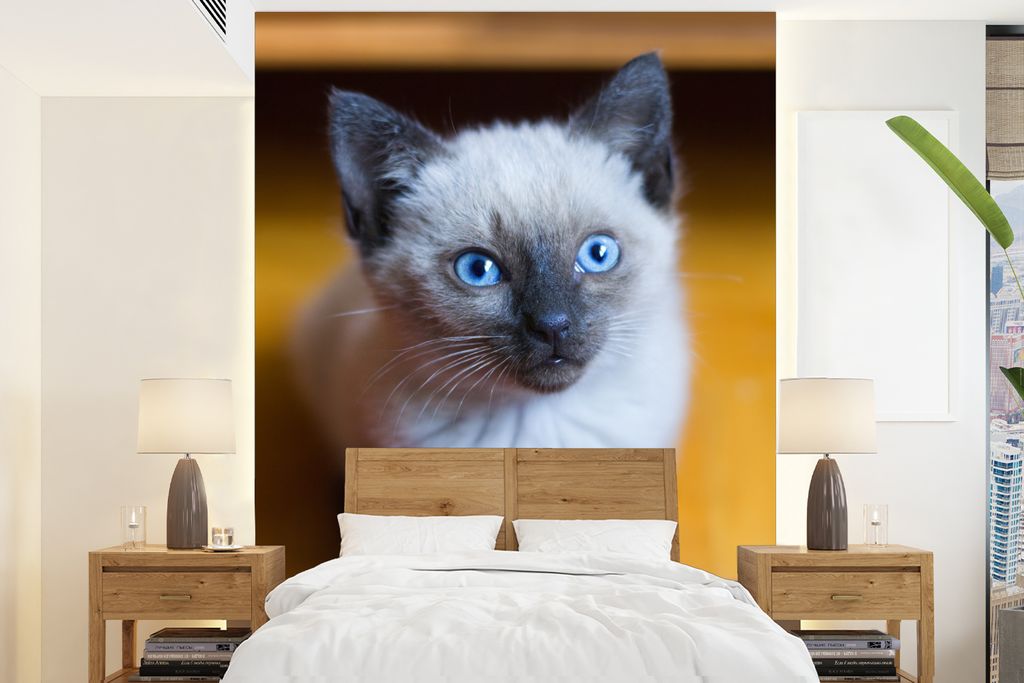 MuchoWow Fototapete für Wohnzimmer oder Schlafzimmer Wandtapete Vinyl Motivtapete Blaue Augen einer Siamkatze - 175x240 cm - Schlafzimmertapete