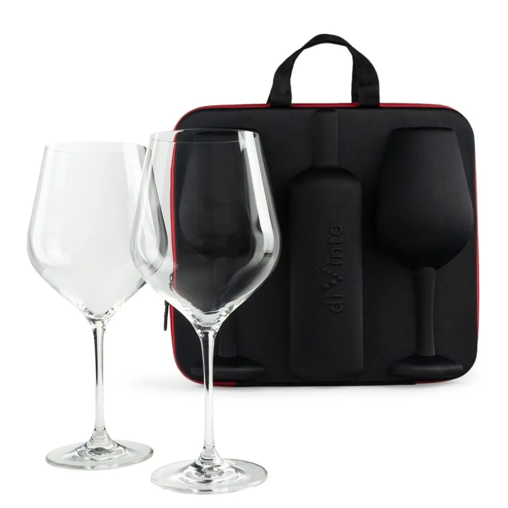 Valigetta Vino diVinto Diamond: Recensione e Guida all'Acquisto