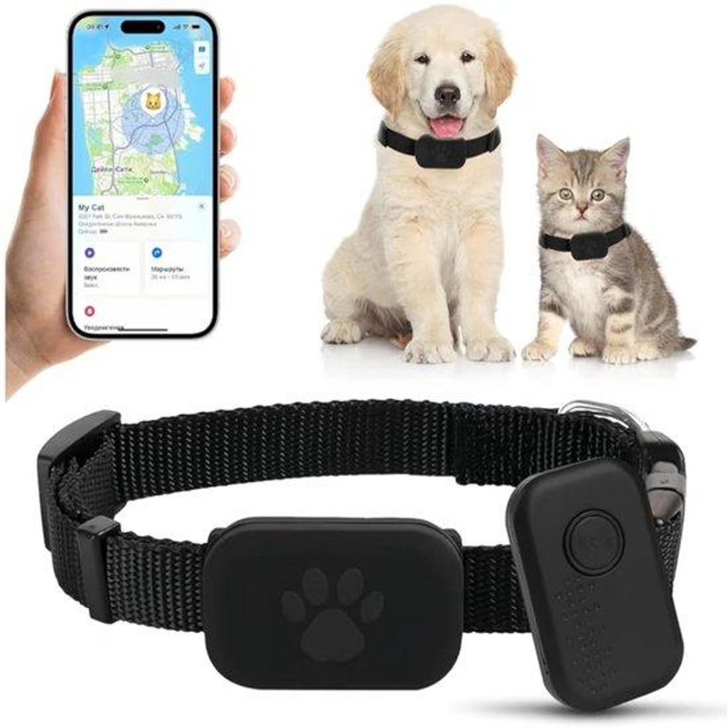 GPS-Tracker für Haustiere mit Katenausstattung