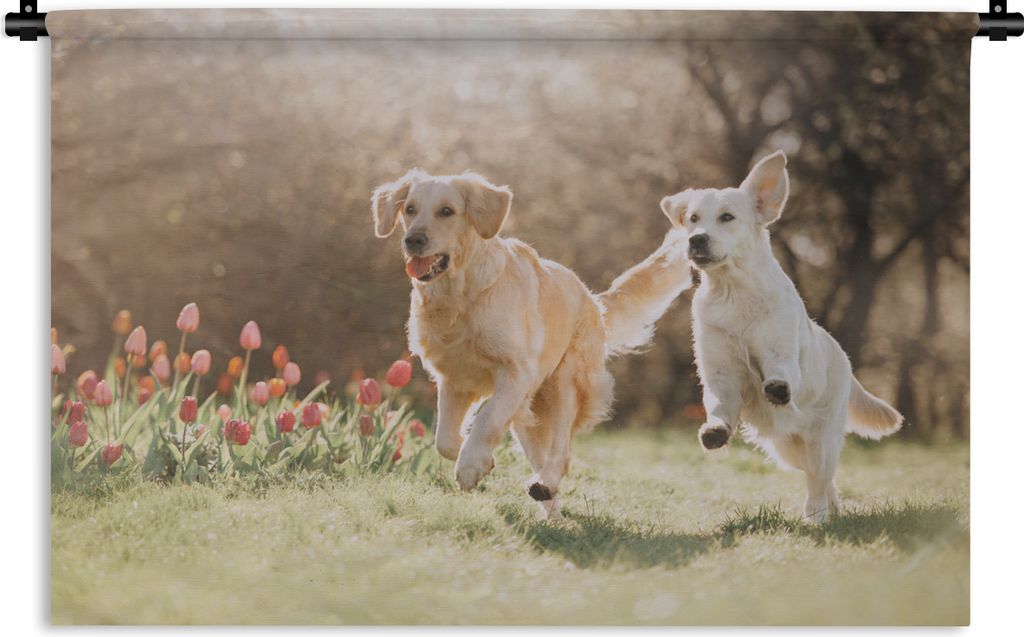 MuchoWow Wandteppich Wandbehang Hunde - Sonne - Frühling 90x60 cm Tapisserie Dekoration Wandtuch - Wandskulpturen - Bildteppich