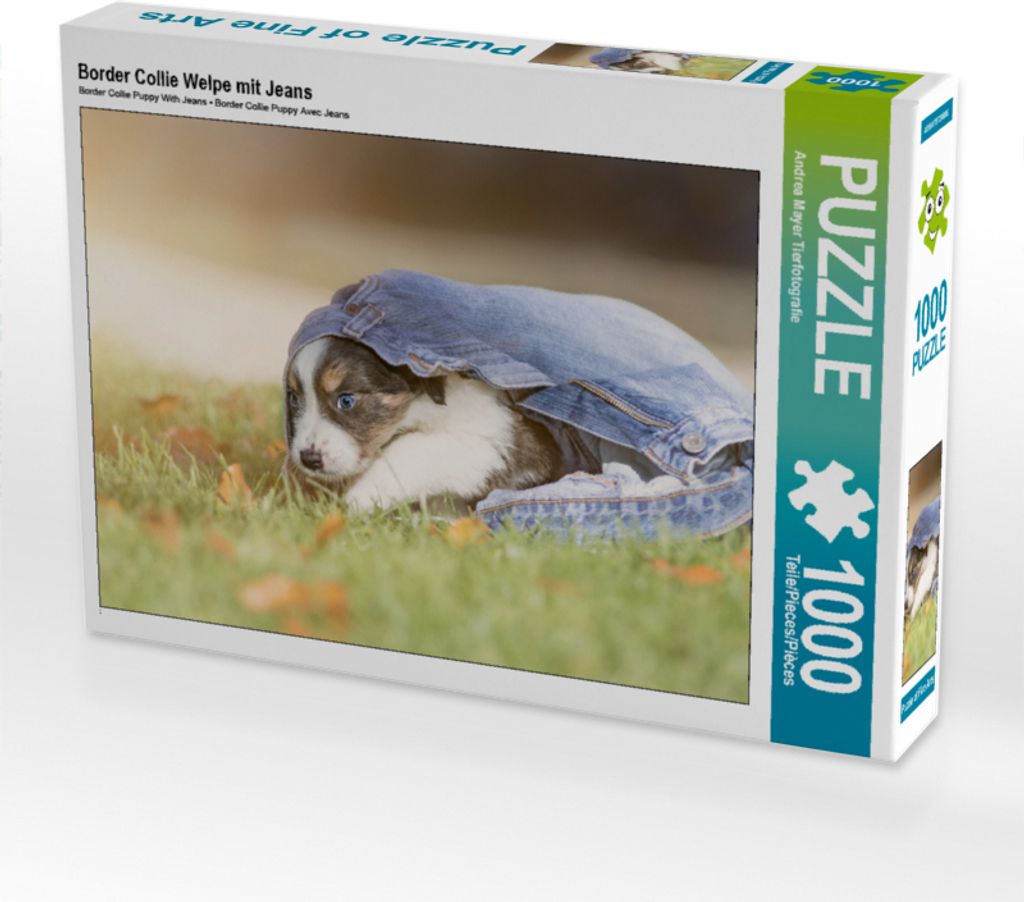 Calvendo Border Collie Welpe mit Jeans 1000 Teile Puzzle quer 640x480mm, Mayer Tierfotografie Andrea; 7459259