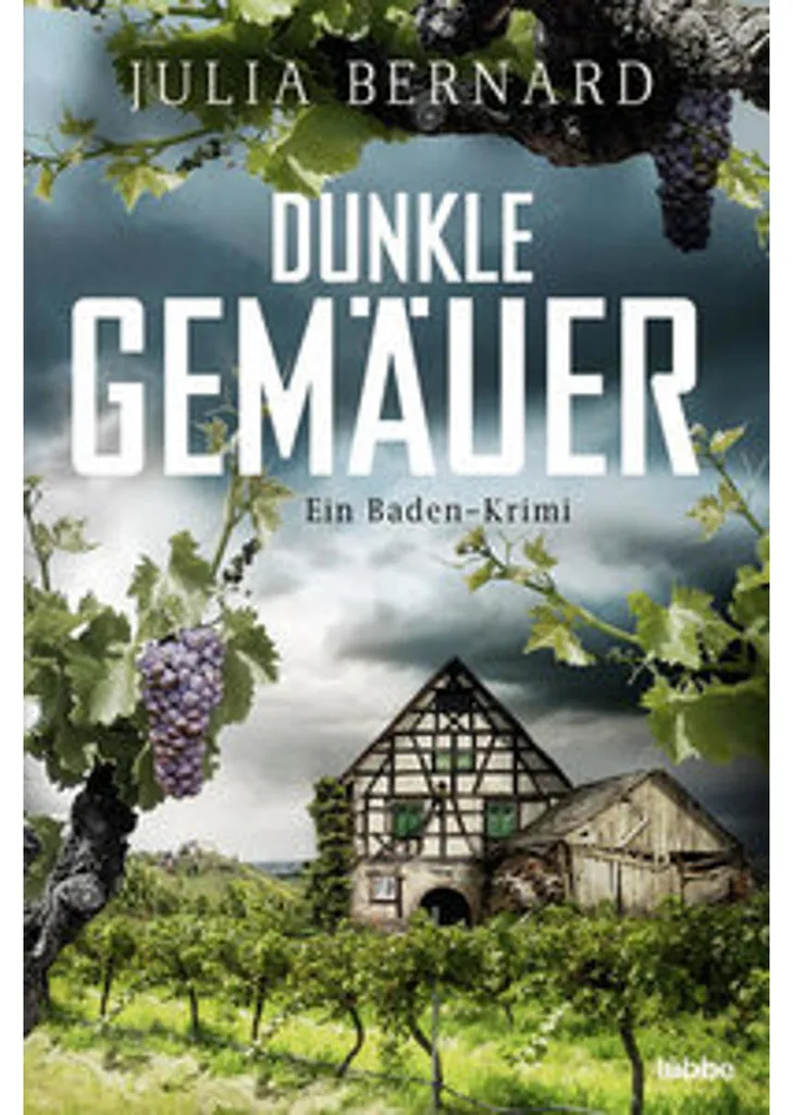 Dunkle Gemäuer : Diffuseur de Parfum Noir pour Masquer les Odeurs - 2