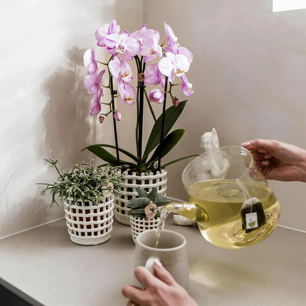 Cache-pot design structuré Ø9cm en relief pour une décoration moderne - 5