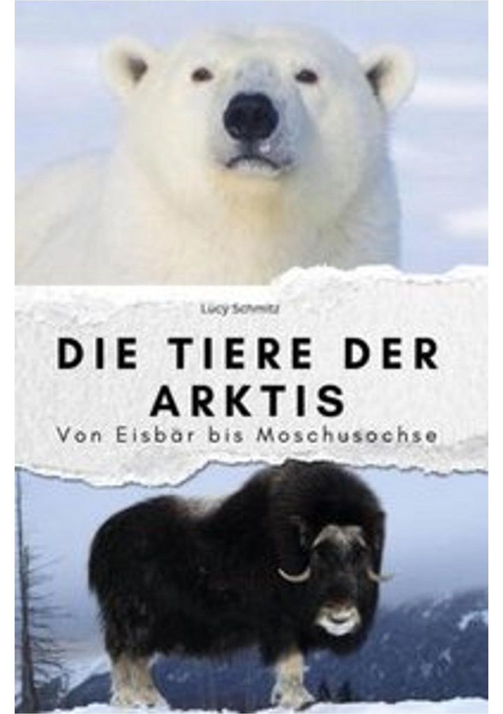 Die Tiere der Arktis - Das perfekte Geschenk für Männer und Frauen zu Weihnachten und Geburtstag