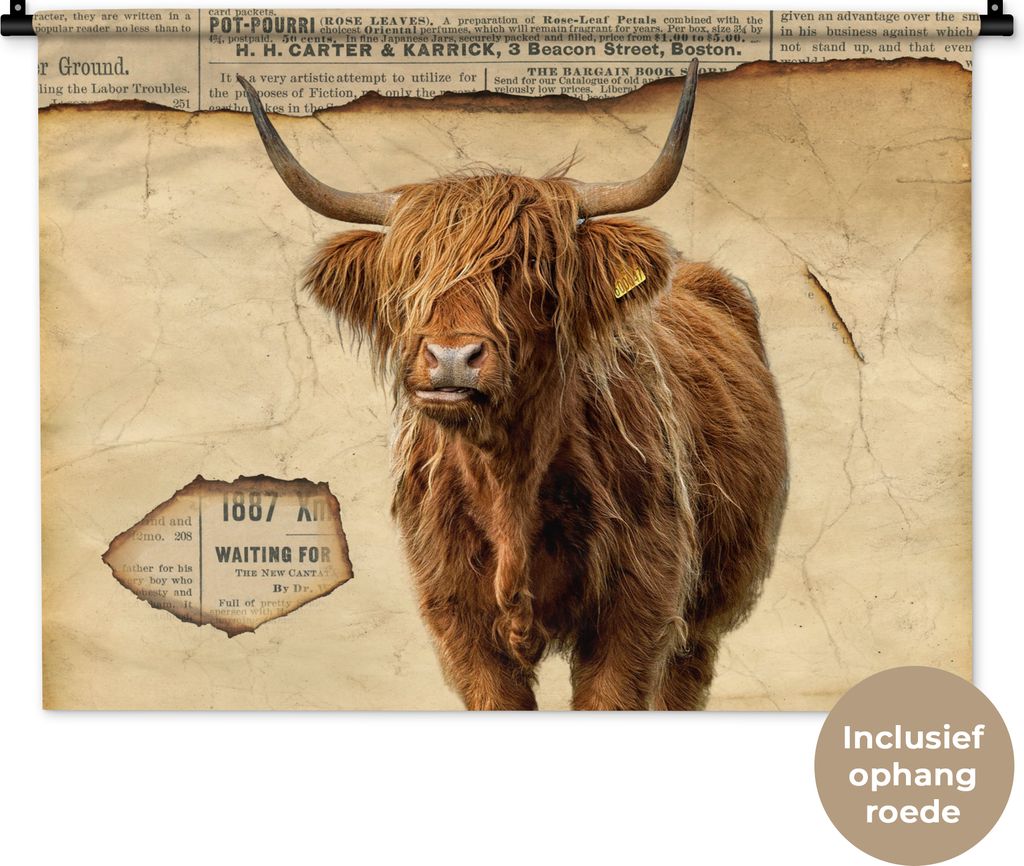 MuchoWow Wandteppich Wandbehang Hochlandrind - Vintage - Zeitungsartikel 90x67.5 cm Tapisserie Dekoration Wandtuch - Fototeppich - Wand-Skulpturen