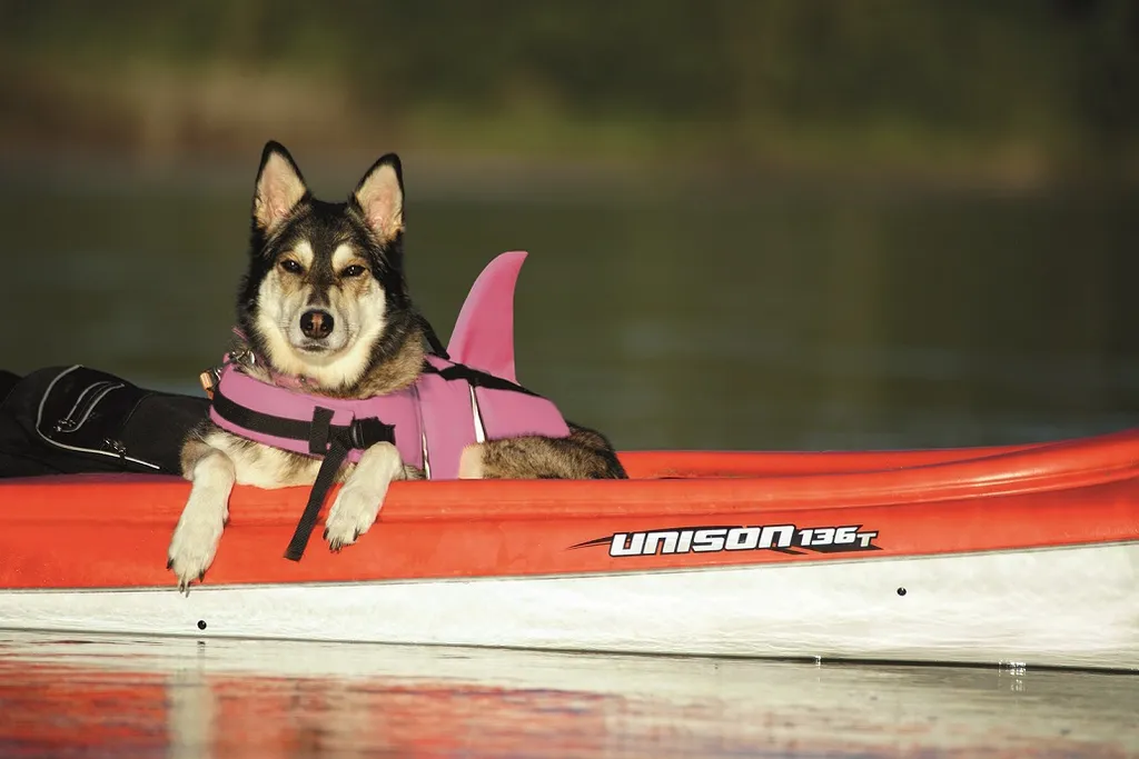 Giubbotto Galleggiante Cane Nobby Sharki Rosa S - Supporto Nuoto 30cm - 2