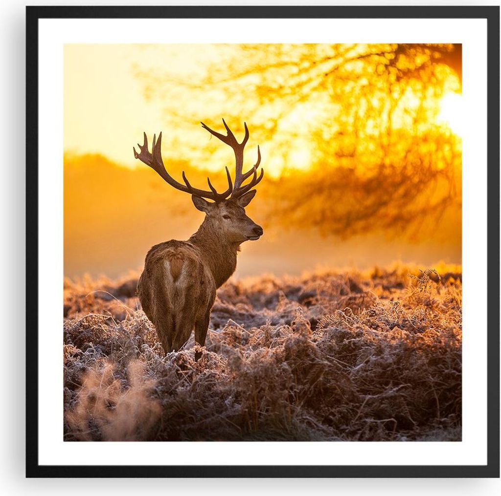 Gerahmtes Poster - Schwarzer Rahmen - Herbst landschaft natur blatt - 60x60 cm - Wand Bild - Wanddeko - Wandbilder - Wandposter - Bilderrahmen - Bi...