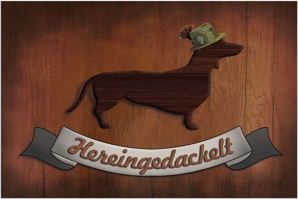Türmatte Spruch Hereingedackelt in 40x60 cm als Produktbild 