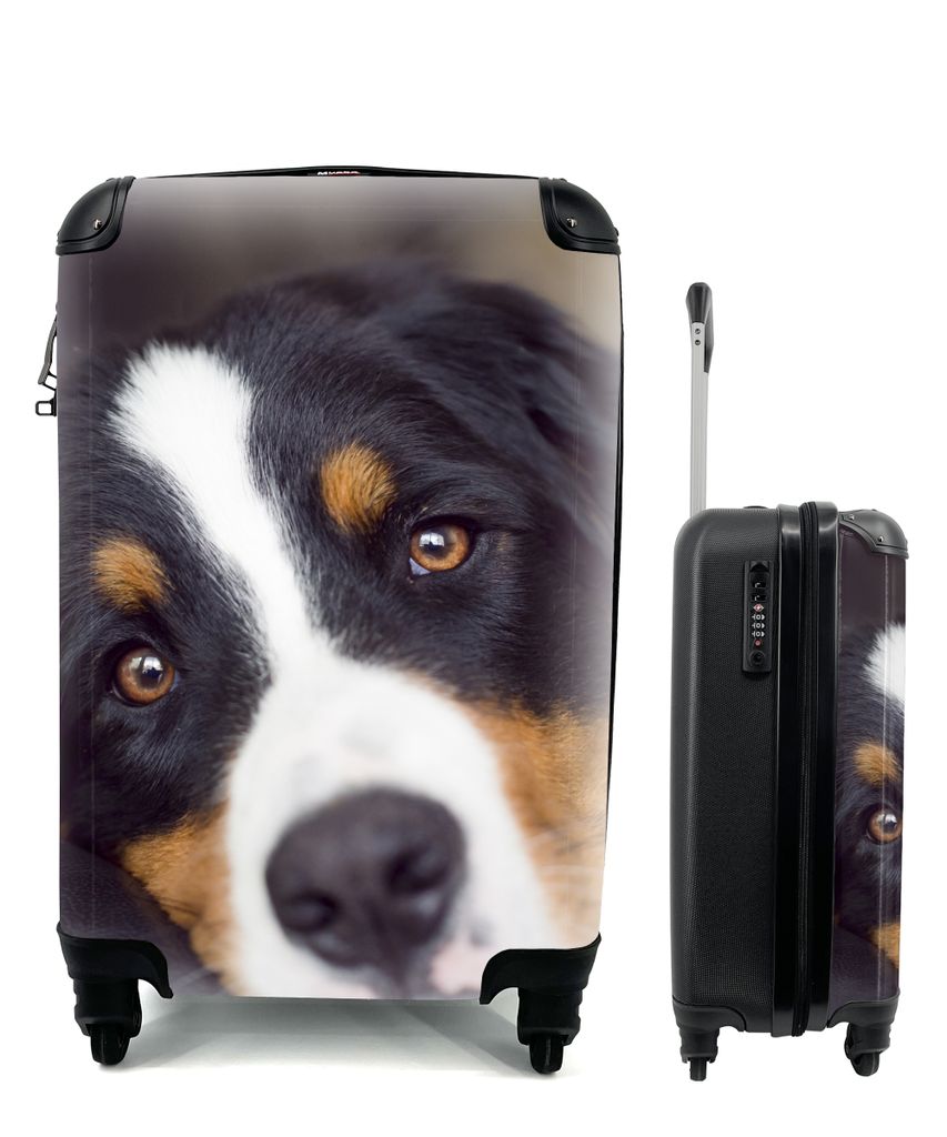 MuchoWow Koffer Handgepäck Trolley Rollkoffer Kleine Reisekoffer mit 4 Rollen - Ein Berner Sennenhund liegt auf dem Sofa - Cabin Size < 55x40x23...