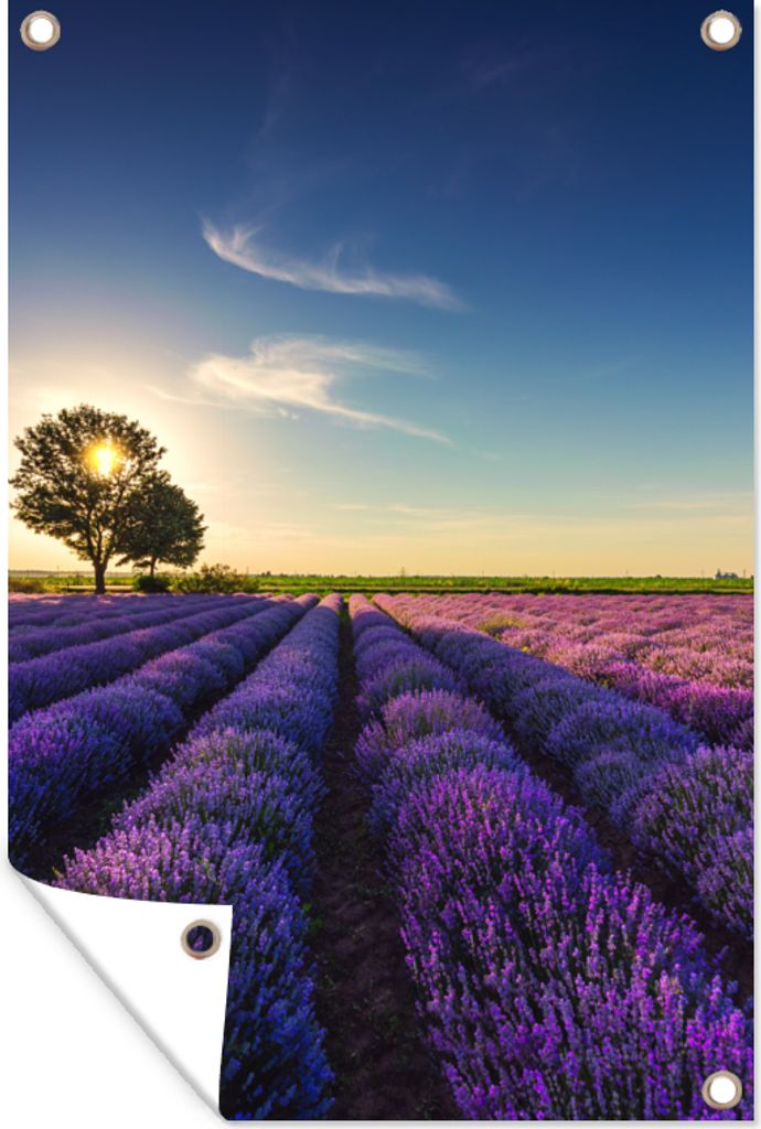 MuchoWow 60x90 cm Outdoor-Poster Gartendeko Sichtschutz Garten Poster für den Garten Lavendel - Sonne - Baum - Blumen - Lila