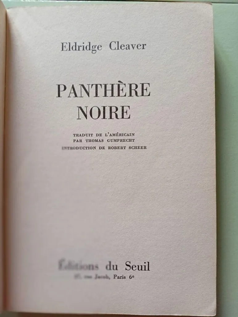 Panthère Noire en Résine Incassable pour une Déco Design Sans Risque