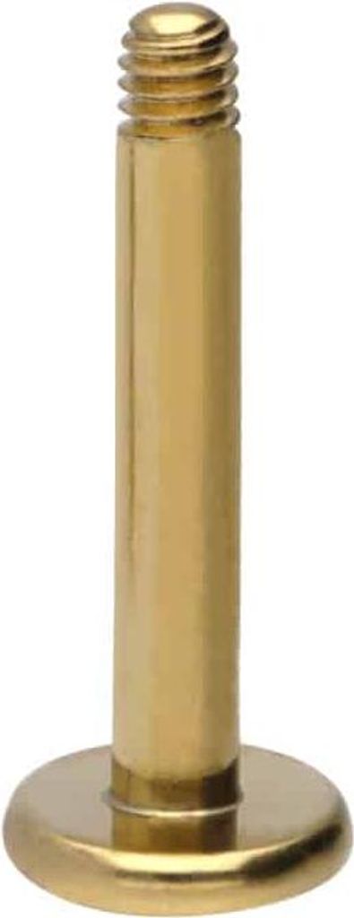 Ohrpiercing, Nasenpiercing Titan Labret ohne Kugel Gold Stablänge: 9mm | Stabstärke: 1,6mm