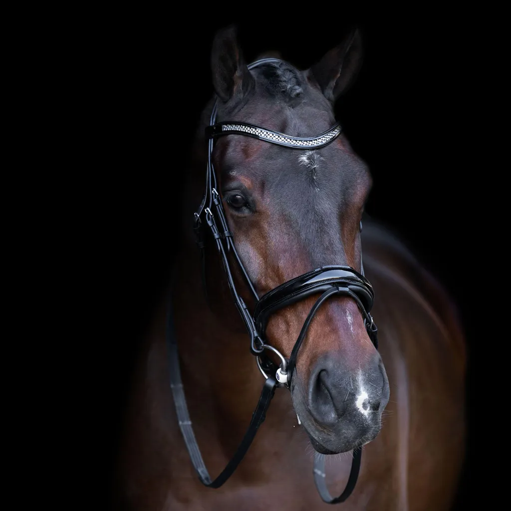 Briglia Equitazione Inglese Nera Cob | Archetto Cristalli Neri