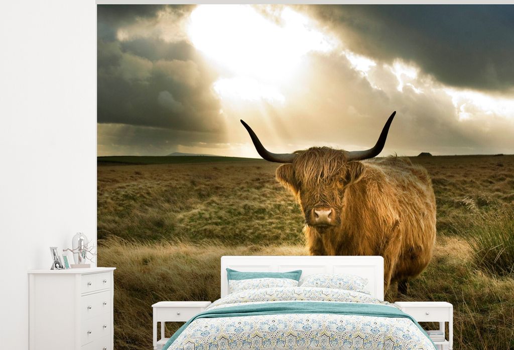MuchoWow Fototapete für Wohnzimmer oder Schlafzimmer Wandtapete Vinyl Motivtapete Schottischer Hochländer - Sonne - Tiere - 275x220 cm - Gemustert