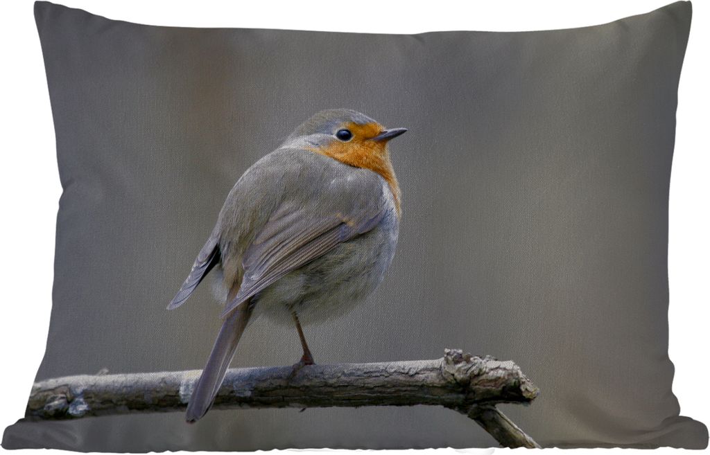 MuchoWow Outdoor Kissen - Rotkehlchen - Zweig - Winter - 60x40 cm - Wetterfest - Lounge Kissen - Zierkissen - Kissen für Innenräume