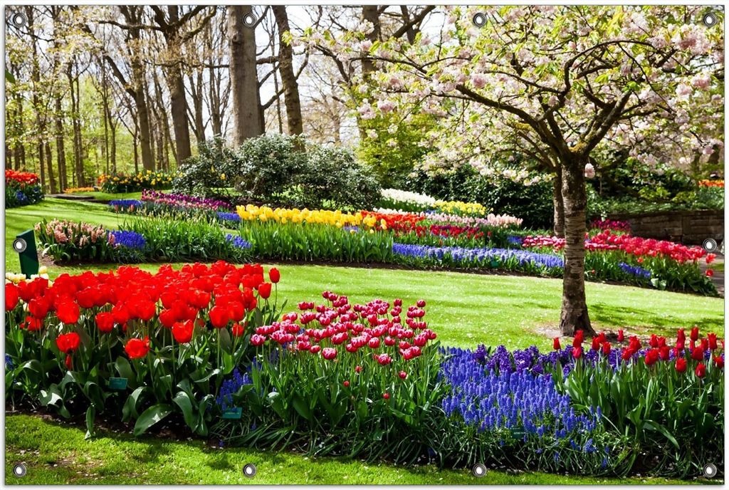 Wallario Outdoor-Poster für Garten oder Balkon, Motiv Bunte Blumen und Kirsch-Baum im Park blühen im Frühling, in ca. 100 x 150 cm