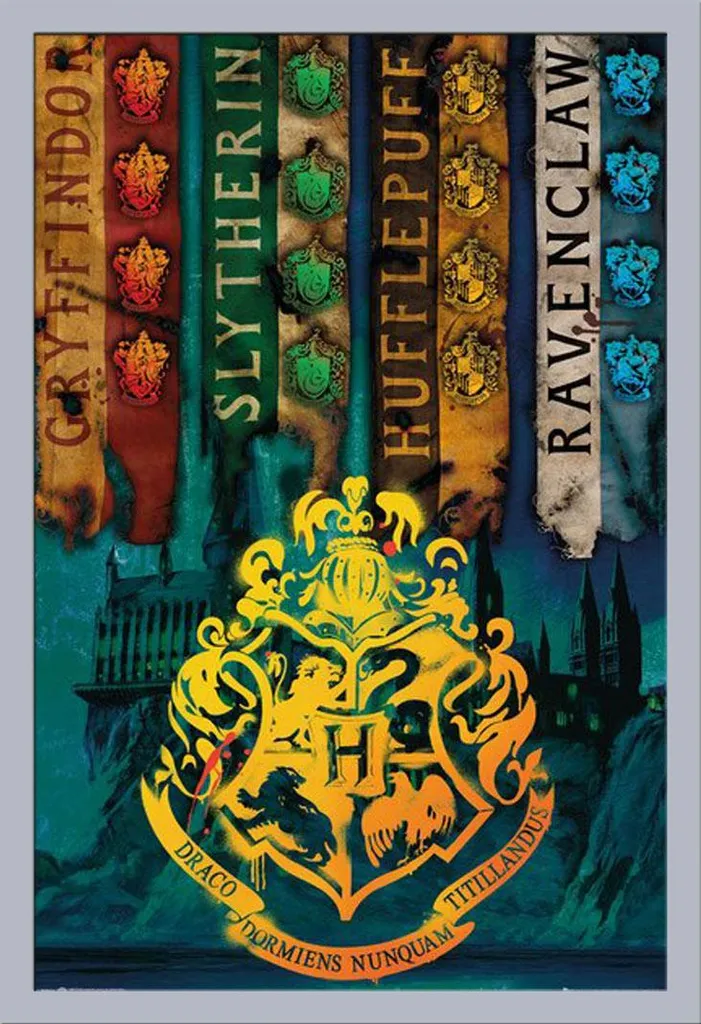 Harry Potter - Poster - Bandiere delle case + cornice rimovibile, Shinsuke® Maxi MDF argento, vetro acrilico