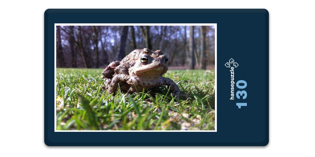 hansepuzzle 17246 - Kröten-Familie Puzzle, 130 Teile, Natur, 28,7 x 20,0cm mit hochwertiger Aufbewahrung, Kartonbox und wiederverschließbarem Beutel
