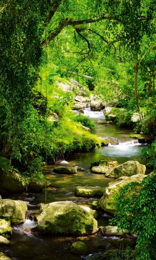 Fototapete - Stream 150x250cm - Vliestapete