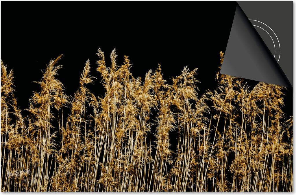 Induktionsschutz 60x60 - abdeckplatte Induktion matt- Dietrix Kochfeldschutz- DELUXE - Schwarz und Gold - Grasfahnen
