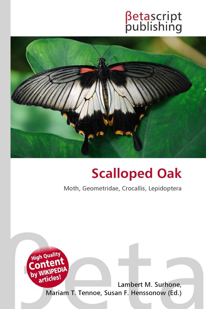 Scalloped Oak
