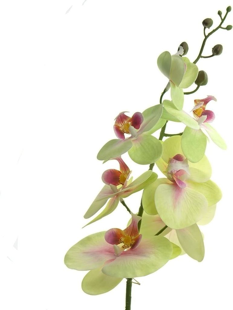 GASPER Phalaenopsis - Schmetterlingsorchidee Grün - Rosa 86 cm - Kunstblumen