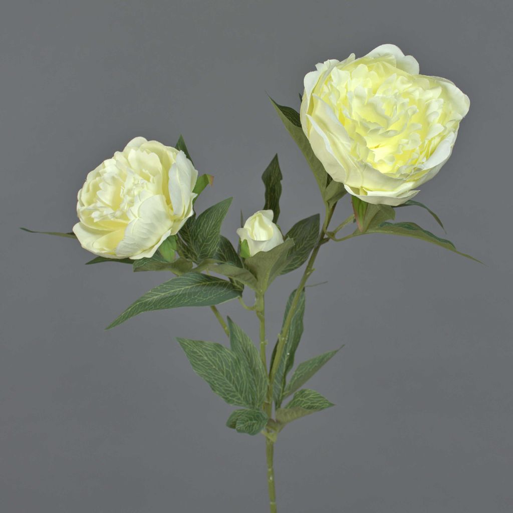 artplants.de Künstliche Blume Pfingstrose Misti, Creme, 70cm - Künstliche Päonie