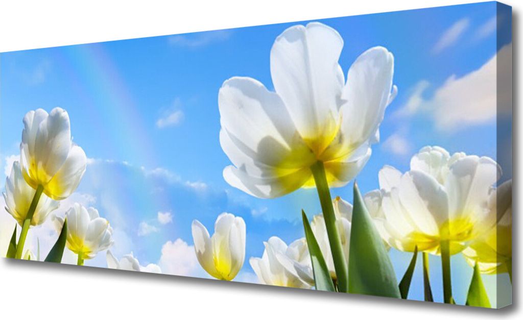 Tulup Leinwand-Bilder 125x50 Wandbild Canvas Kunstdruck Blumen Pflanzen