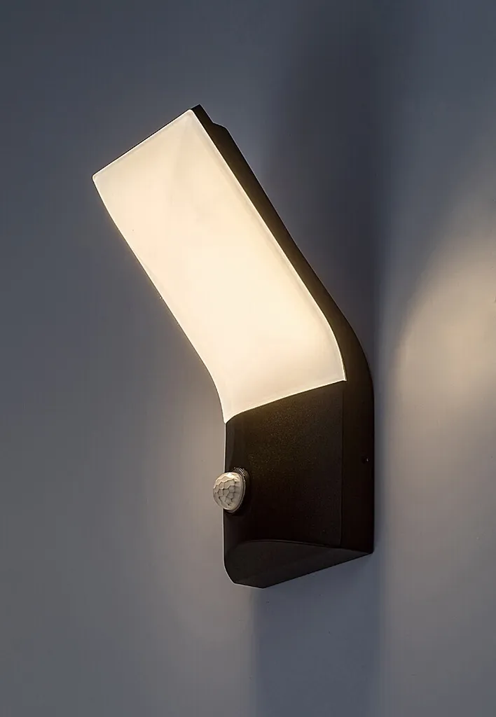 Rabalux 77172 Tolna Applique Murale Extérieure LED 10W Aluminium Noir