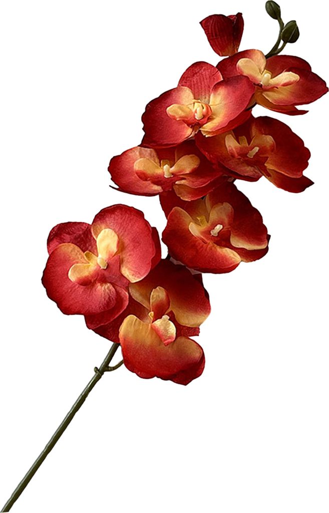 Künstliche Mottenorchideen, realistische gefälschte Seidenblume, Hochzeitsfeier, Home-Office, Tischdekoration, Faux Phalaenopsis, Blumenzweig