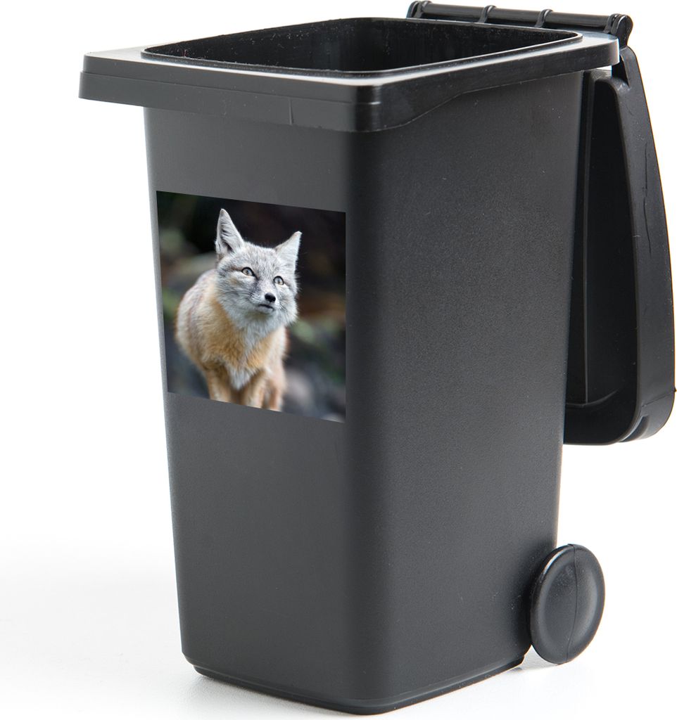 MuchoWow Mülltonnenaufkleber Fuchs - Makro - Baum 40x40 cm - Abfall-Aufkleber - Container - für Abfallcontainer