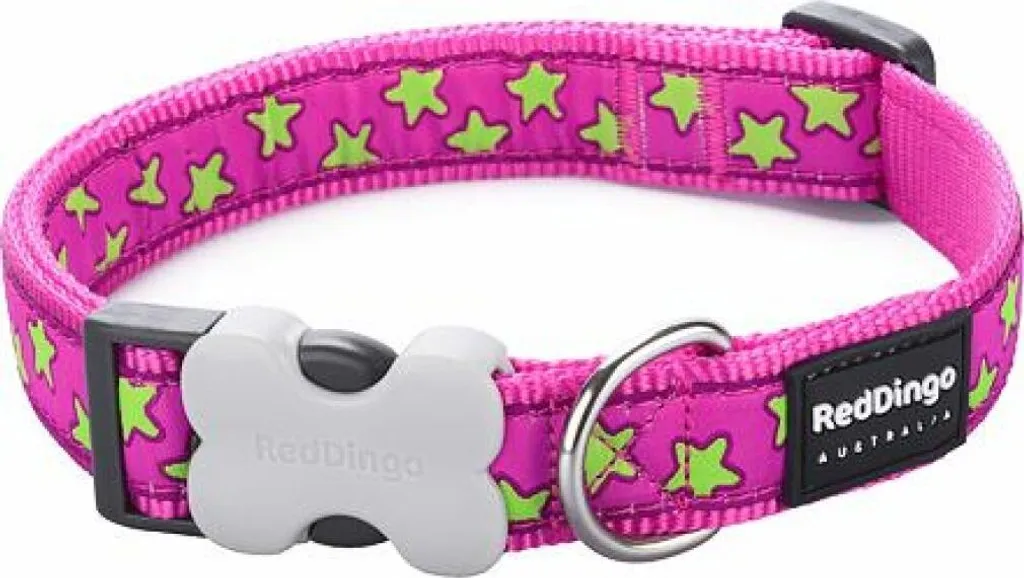 Red Dingo Collare Stelle Lime Rosa 12mm 20-32cm | Sicurezza e Stile