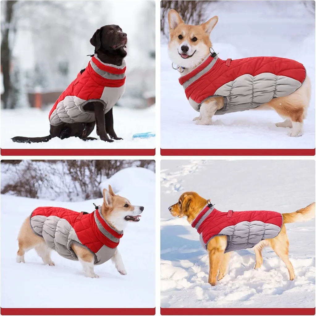 Offerta Cappotto Cane Impermeabile Rosso - Lavabile e Resistente - 7
