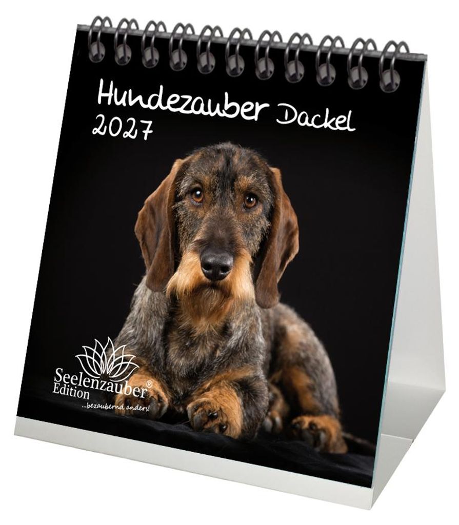 Hundezauber Dackel Tischkalender 10x10cm für 2027 Welpen Produktbild 