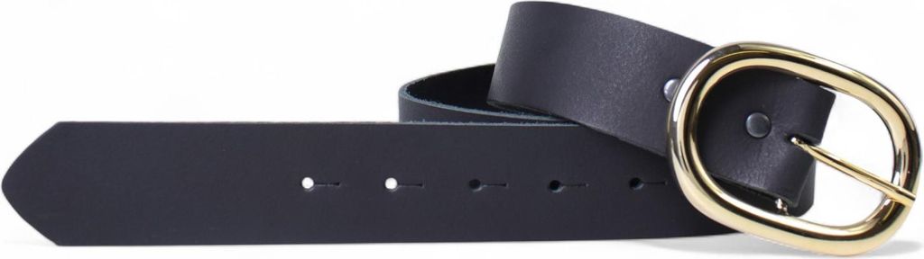 FRONHOFER Modischer Ledergürtel 4 cm für Damen mit vergoldeter Gürtelschnalle