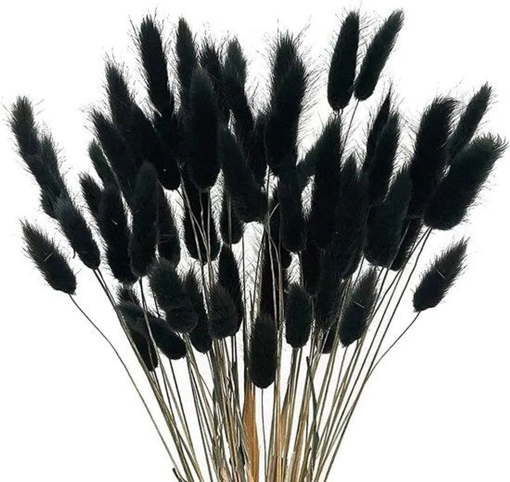 Herbe de la Pampa Velours 40 cm - Décoration Maison Lot de 60 Pièces