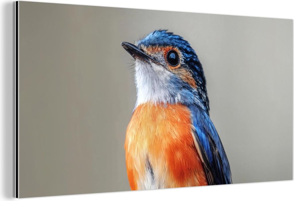 MuchoWow Wanddekoration Metall Metallbild Wandkunst 120x60 cm Bunt - Vogel - Federn - Blau MuchoWow Aluminium Gemälde - Metalbilder