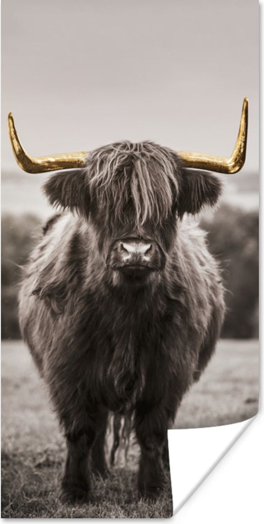 MuchoWow Poster Schottischer Highlander - Gold - Hörner 80x160 cm - Kinderzimmer