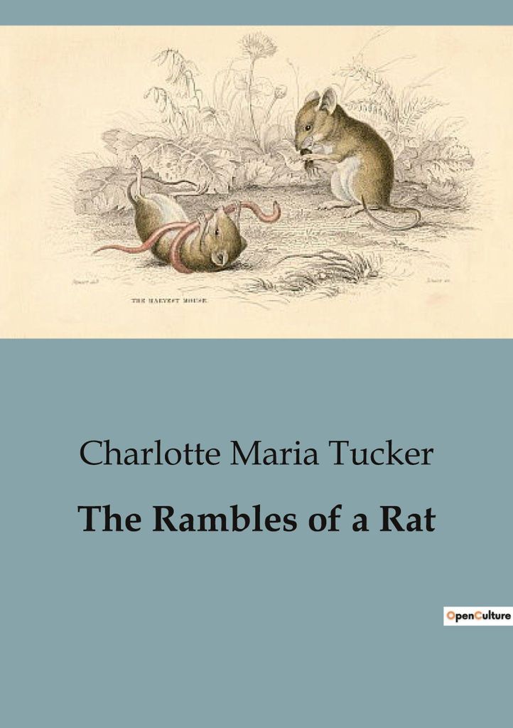 The Rambles of a Rat