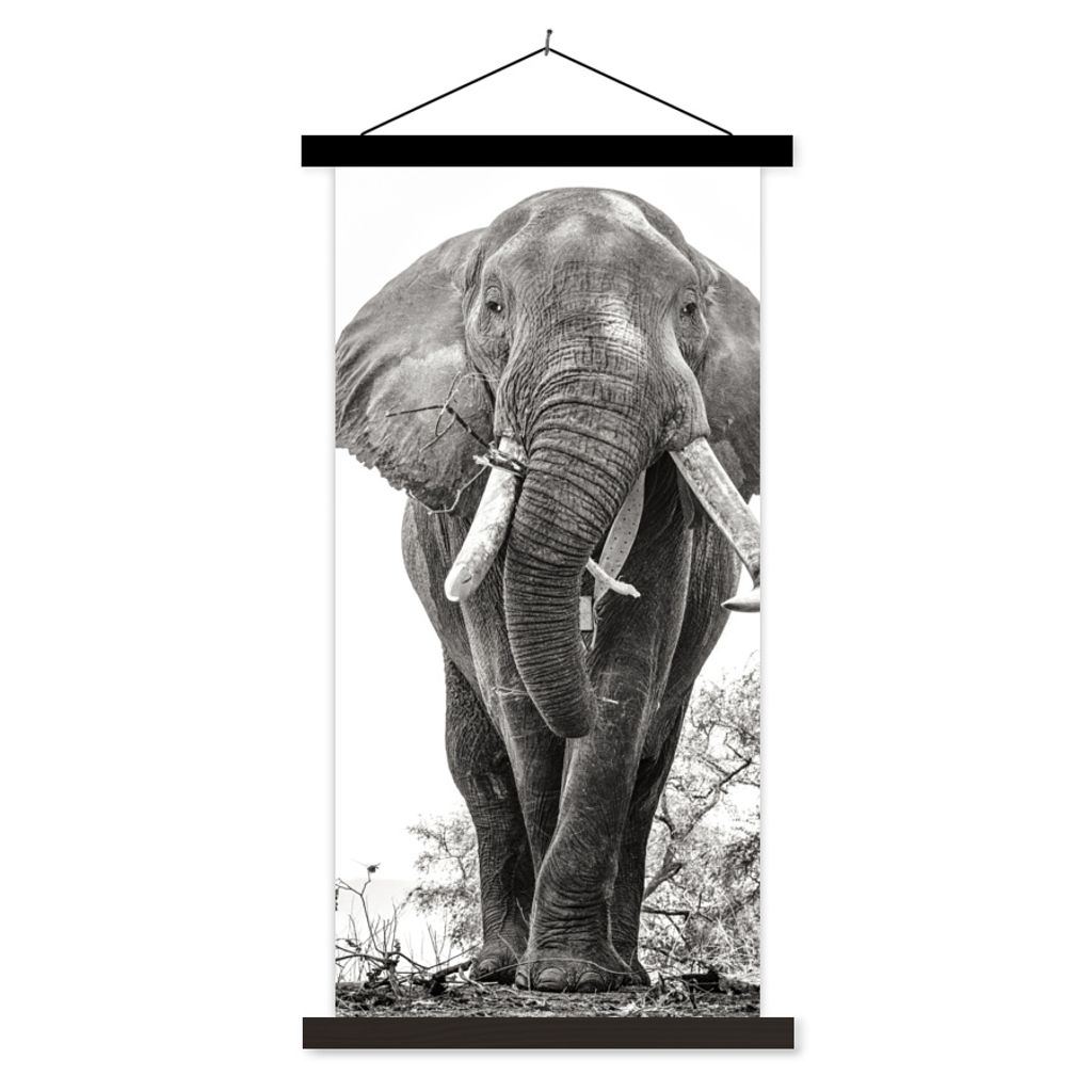 MuchoWow Textilposter Elefant - Porträt - Tiere - Schwarz und weiß 40x80 cm mit schwarzem Rahmen - Wandemalerei