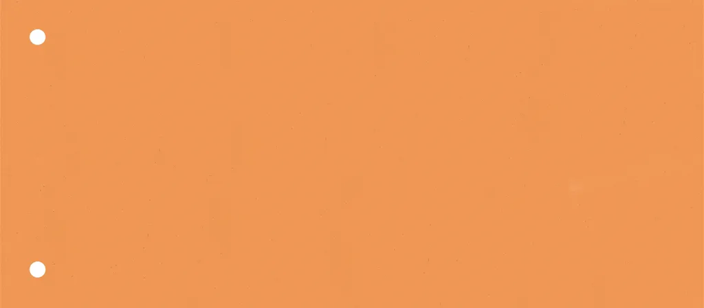 Intercalaire de séparation orange 10,5 x 24 cm pour archivage efficace