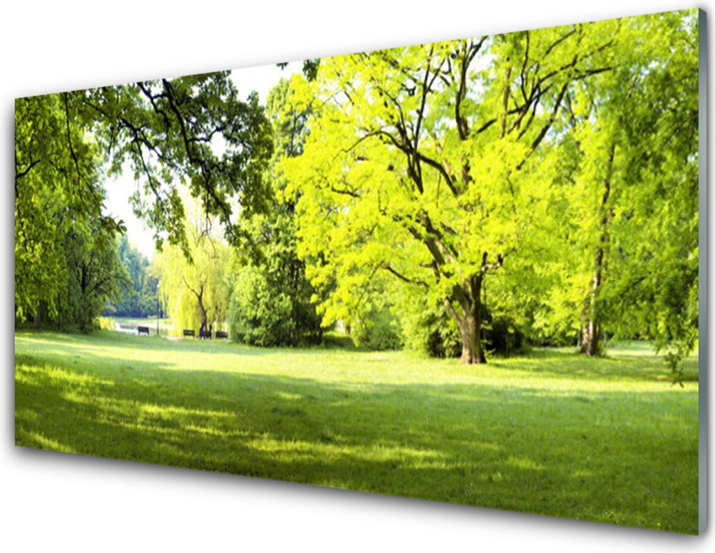 Küchenrückwand aus Glas 100x50cm Spritzschutz Gras Bäume Natur