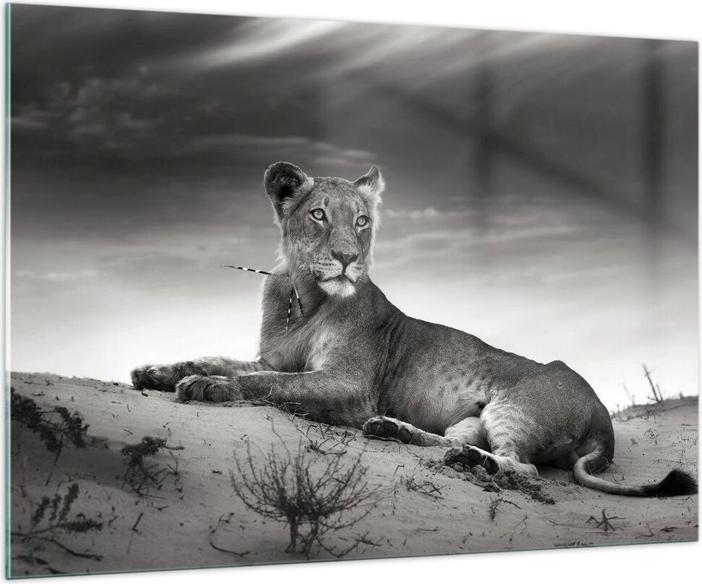 Bilder auf glas - Tierwelt weiblich katze Tier - 100x70cm - Glasbilder - Wandbilder - Kunstdruck - zum Aufhängen bereit - Wanddekoration aus Glas ...