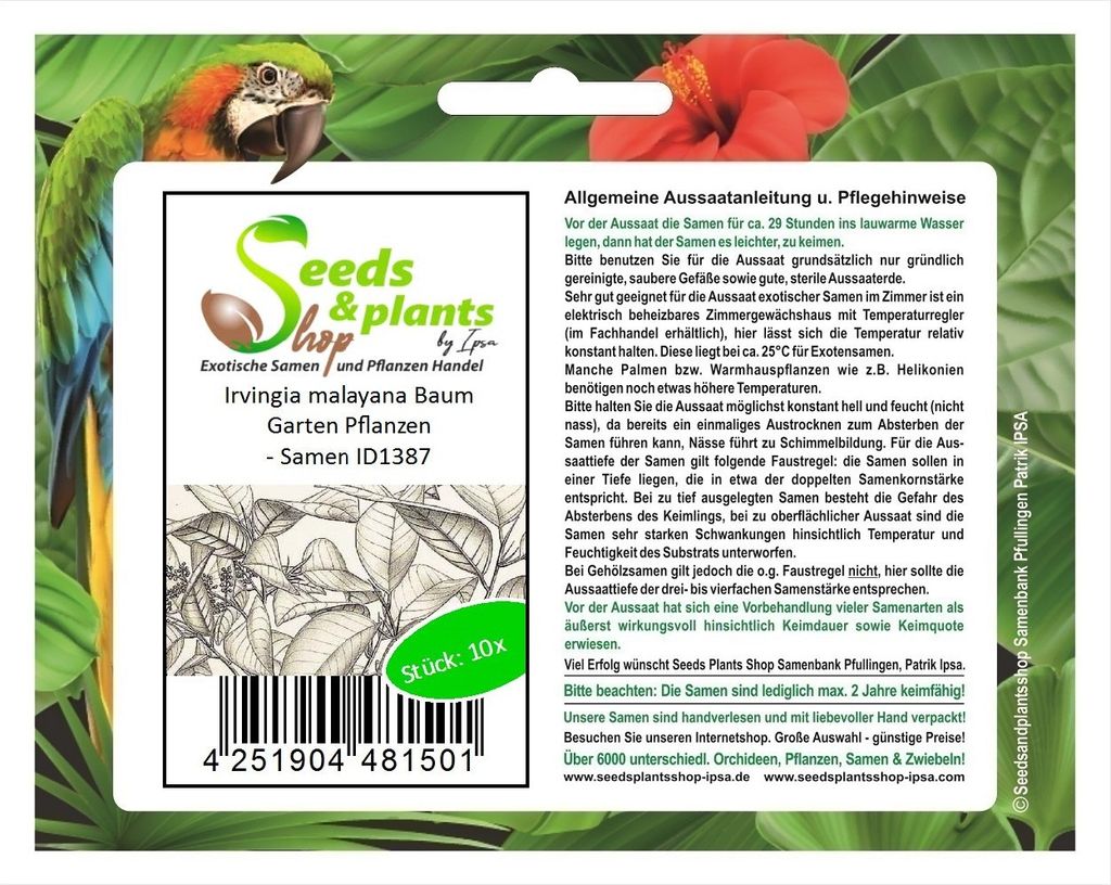 10x Irvingia malayana Baum Garten Pflanzen - Samen ID1387