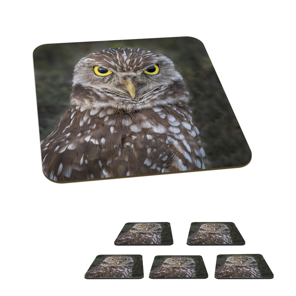 KitchenYeah Glasuntersetzer Quadratisch 6er Set Kaninchenkauz mit leuchtend gelben Augen 10x10 cm Untersetzer für Gläser - Getränkeuntersetze...