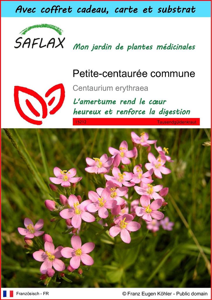 SAFLAX Ensemble-cadeau - Petite-centaurée commune - 250 Image du produit 