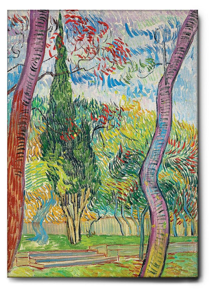 Giallobus - Park des Saint Paul Krankenhauses - Vincent Van Gogh - 50L x 70W cm - Bild - Leinwand mit Standardrahmen