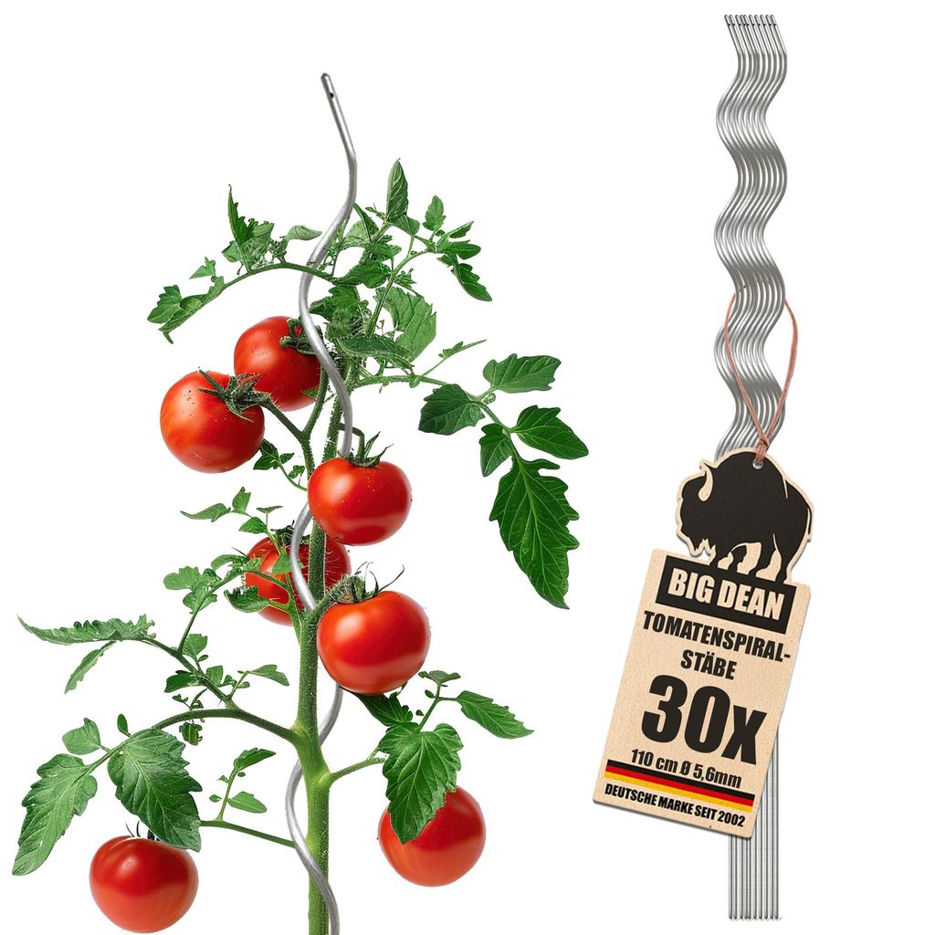 BigDean 30 Tomatenspiralstäbe 110cm voll verzinkt Tomatenstab Tomaten Ranke Pflanzstab Stahl Profi Qualität Tomatenspiralstab